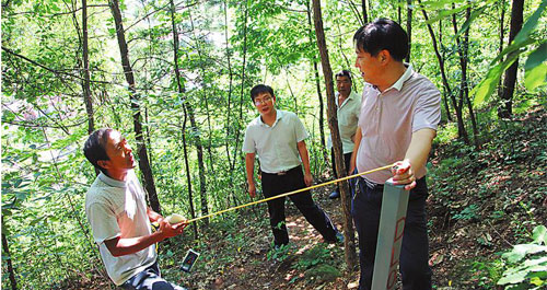 山阳县全面开展地质灾害防治工作大检查活动