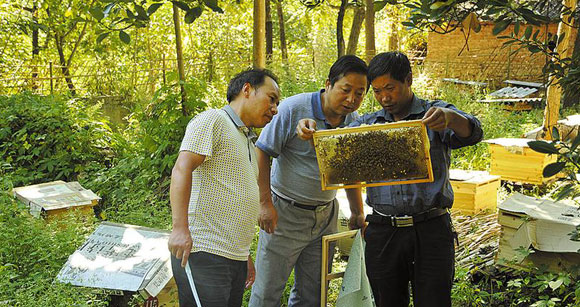 洛南建成170多个扶贫专业合作社