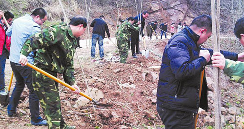 赵川镇开展植树节后第二轮植树造林活动