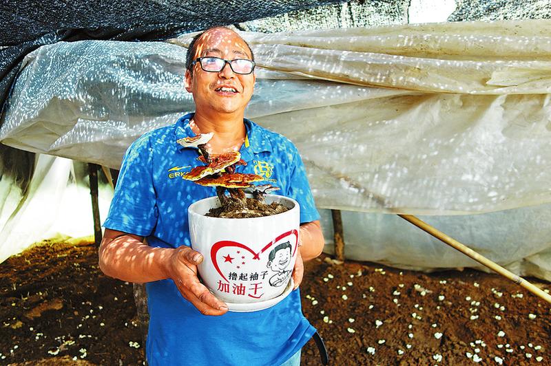 流岭槽村 把关键的环节做到极致