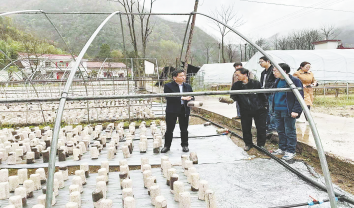 西口回族镇积极推进春耕备耕