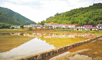 西川村 一个稻花飘香的地方