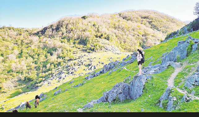西口回族镇 绿色原生态 大美北阳山