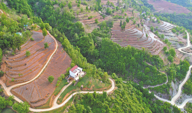 大地诗行营胜村