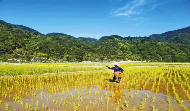 西川村 一川山水靓四季