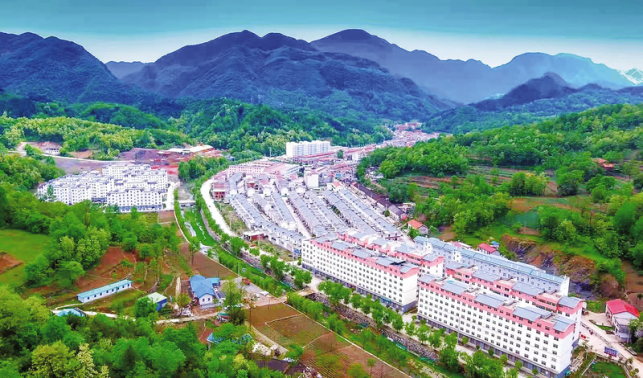 描绘基层善治新“枫”景