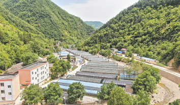 秦岭闺秀 康养柞水