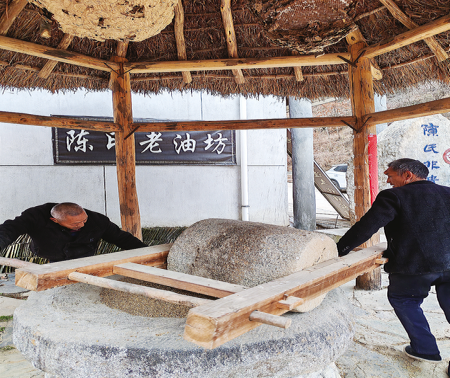 百年油坊：承载新梦想 蕴藏新商机