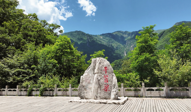 牛背梁：让“生态颜值”成为“振兴产值”