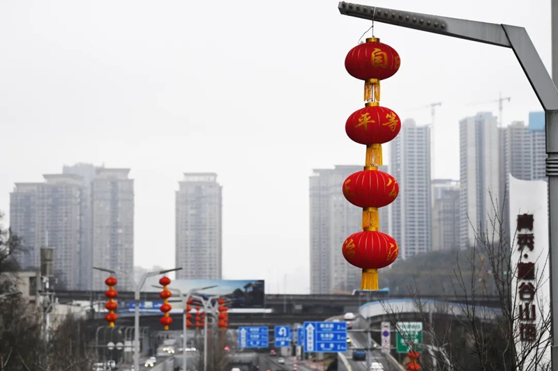 2月9日，花冠路灯杆上悬挂的大红灯笼格外醒目。