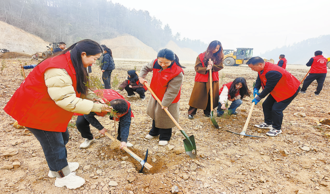 践行生态文明 守护绿树青山