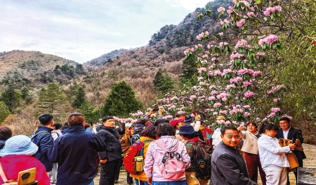 商洛 “花海颜值”转化为文旅产值