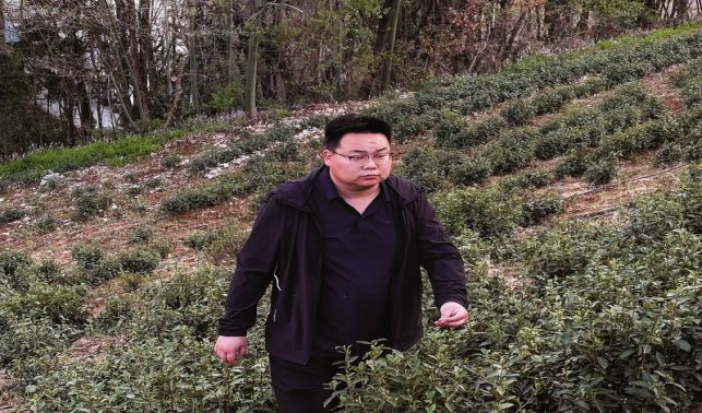 胡冰涛 一片叶子带富一方百姓