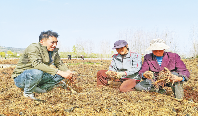 90后农民张小龙创业记