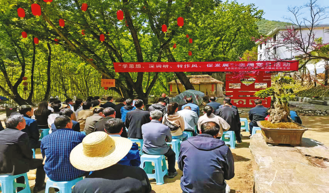 厚植文明底色 守护民生福祉