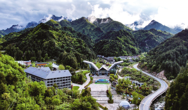 木王镇 林海深处满目新