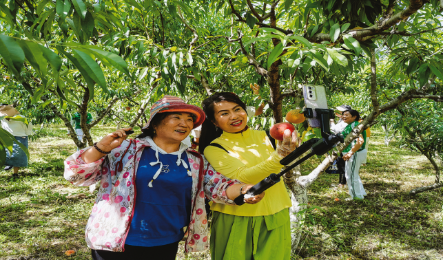 果香引客来 采摘促增收