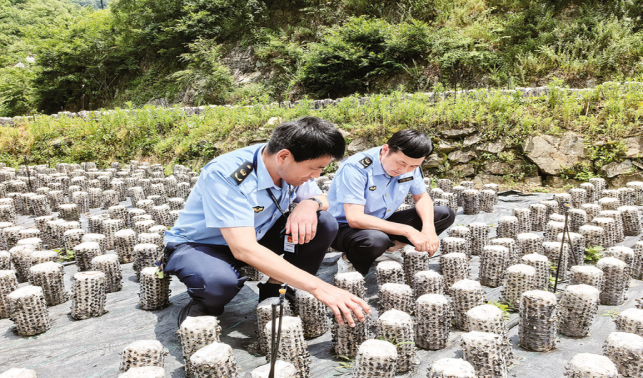 柞水筑牢农产品质量安全防线