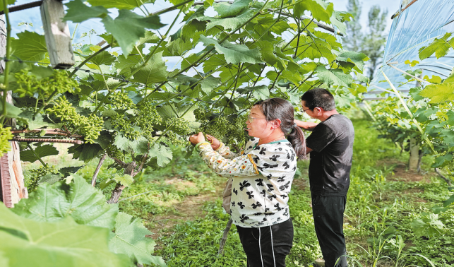 图片新闻