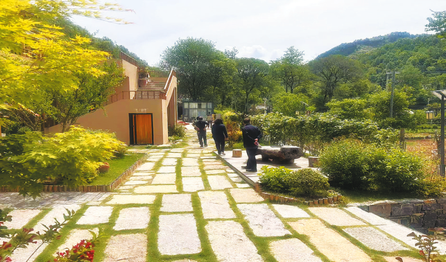 游客扎根商洛慢居 沉浸式感受山野烟火