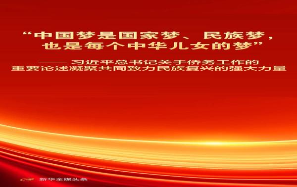 习近平总书记重要论述凝聚共同致力民族复兴强大力量