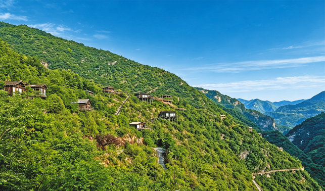 山阳县天蓬山寨沟域森林康养项目