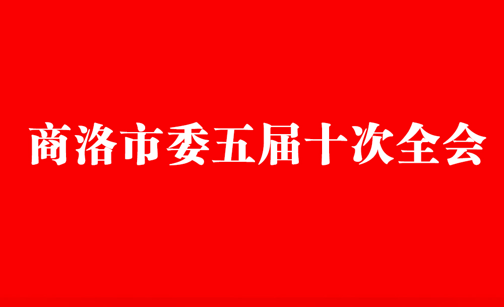 商洛市委五届十次全会