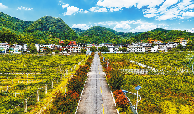 一湾丹水润柳湾
