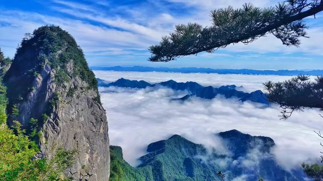 微信图片_2026-09-01_105355_822.jpg