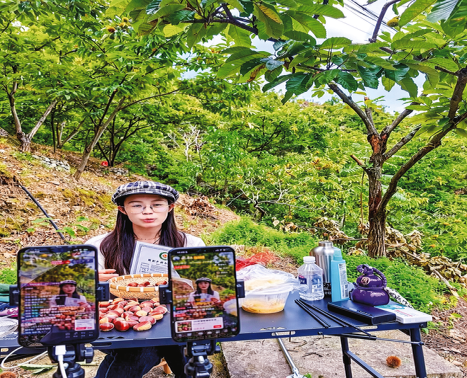 电商架桥 山货出山
