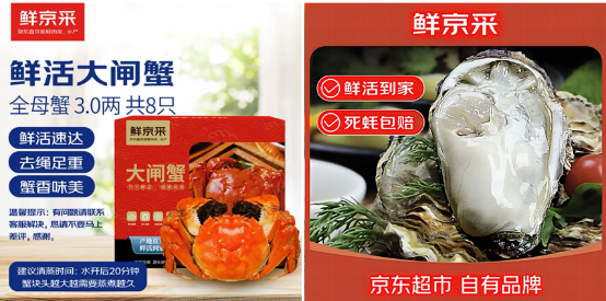 全景网