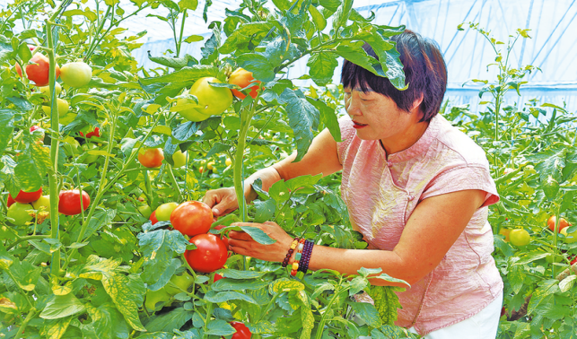 新农人的共富答卷