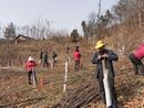 铁厂镇组织林业技术人员深入各村培训林农