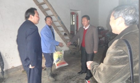 十里坪镇走访服务活动纪实