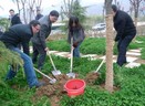 丹凤冬季造林4.4万亩