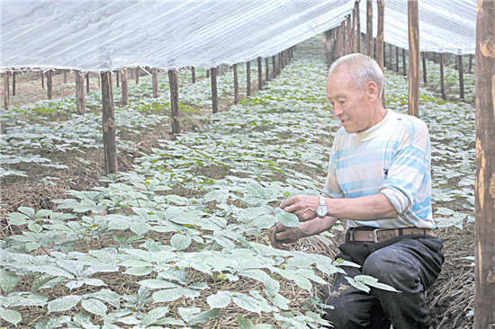 点亮百姓幸福梦