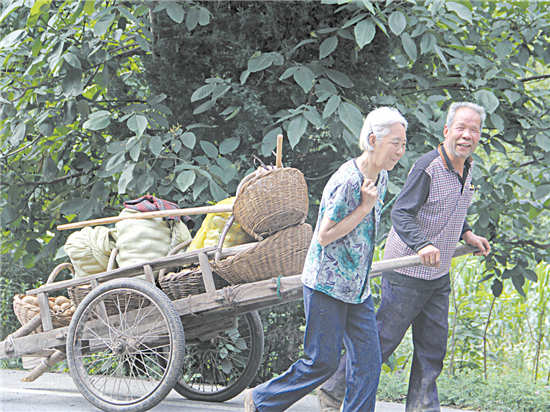 商洛洋芋熟了